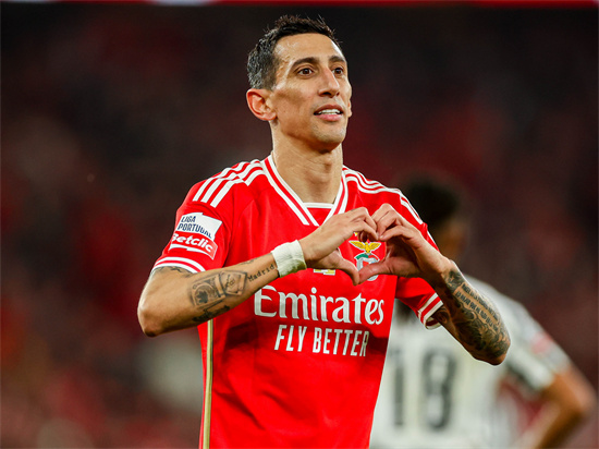 本菲卡欧冠征途：逆袭与遗憾交织的传奇